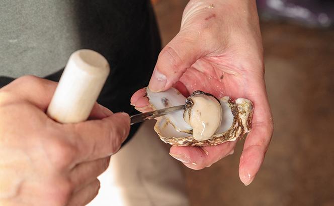 北海道 厚岸産 生食用 殻付カキ Mサイズ 10個 マルえもん 牡蠣