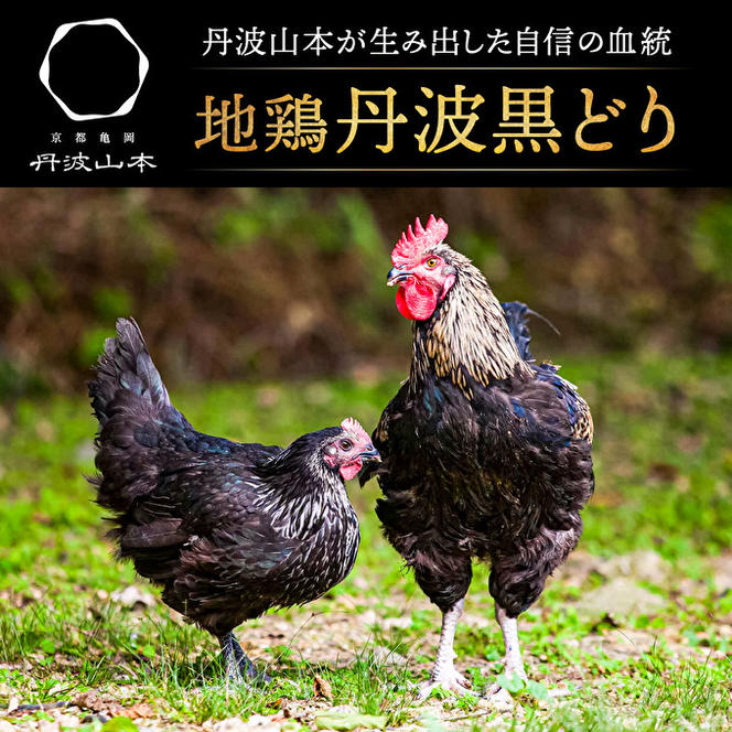  地鶏 丹波 黒どり モモ肉 4kg（2kg×2袋）冷凍 業務用 焼き鳥 鍋 焼肉 BBQ 鶏肉