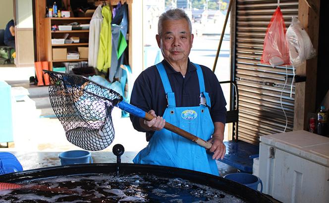 若狭ふぐ てっさ てっちり 料理自慢 セット 3～4人前 とらふぐ ふぐ鍋 ふぐ刺し ふぐ ひれ酒 ふぐセット ふぐちり 鍋 刺身 海鮮鍋 お鍋 鍋セット 魚 海産物 海の幸 魚介 魚介類 冷蔵 冷蔵配送 福井 若狭町