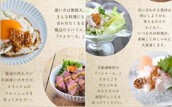 調味料 マスターネ プレーン しょう油 2本セット 100g×各1 マスタード 食べ比べマスタードシード