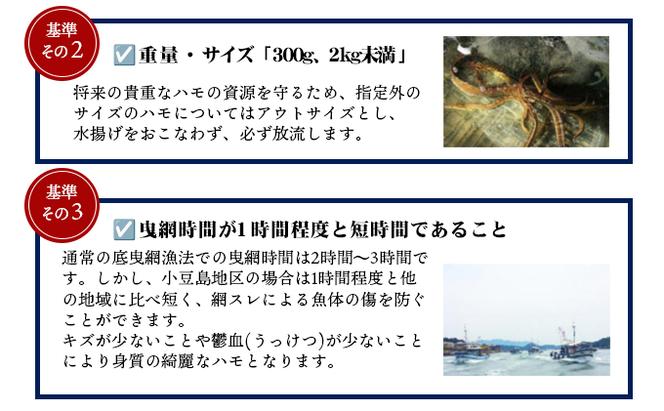 『小豆島島鱧』活け締め骨切り瞬間冷凍  新鮮 海の幸