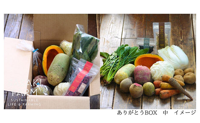 旬の野菜詰め合わせ ～ありがとうBOX2024・中～ 12月1日～1月31日頃お届け 北海道 野菜 やさい 詰め合わせ セット 北海道産 常備菜 加工品 自然栽培 佐々木ファーム 産地直送 洞爺湖町