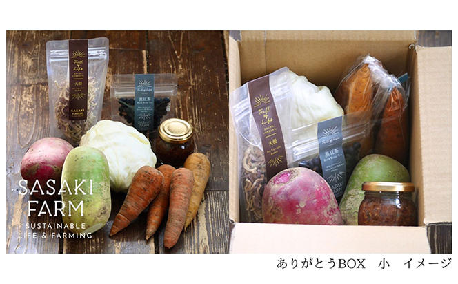 旬の野菜詰め合わせ ～ありがとうBOX2024・小～ 12月1日～1月31日頃お届け 北海道 野菜 やさい 詰め合わせ セット 北海道産 常備菜 加工品 自然栽培 佐々木ファーム 産地直送 洞爺湖町