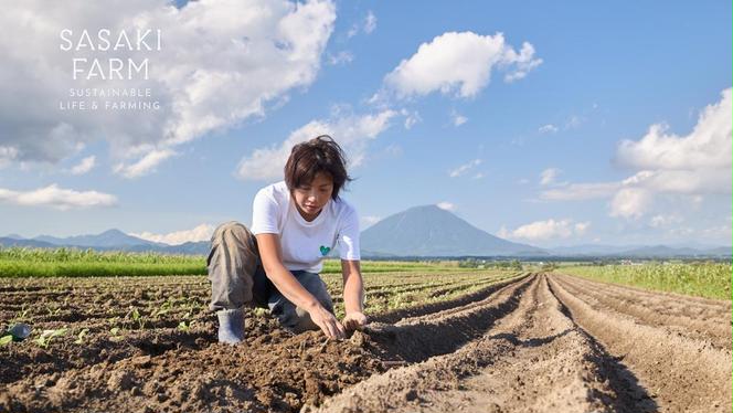 [3回お届け 5月・7月・9月 定期便]〈自然栽培〉佐々木ファーム 旬の野菜詰め合わせ ～循環セット～ 厳選野菜7-10品目程度 やさい 直送 北海道 洞爺湖町