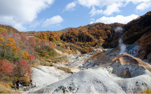 北海道登別市　日本旅行　地域限定旅行クーポン 90,000円分