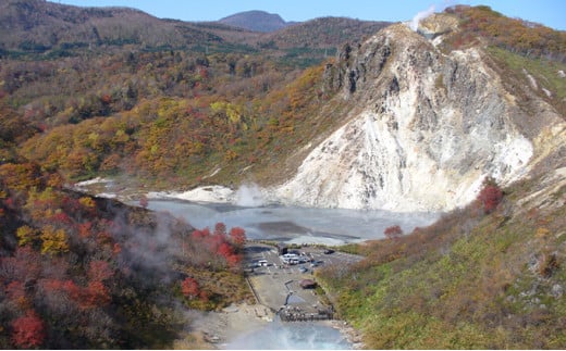 北海道登別市　日本旅行　地域限定旅行クーポン 90,000円分