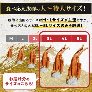 殻付き 本ずわいがに 肩脚 2kg 年末年始 お歳暮 正月 ギフト 2025