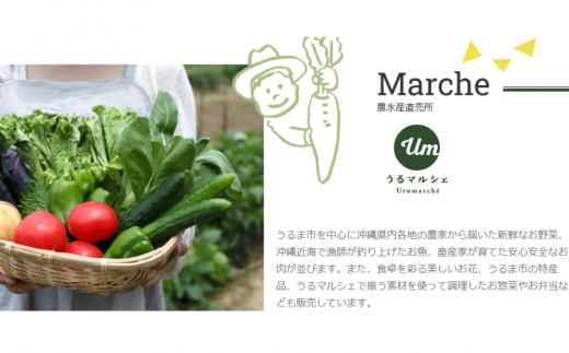 うるま市を中心とした県産野菜・果物セット（M）【うるマルシェ厳選】