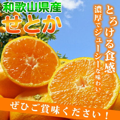G7059_【先行予約】とろける食感！ジューシー柑橘 せとか 3kg