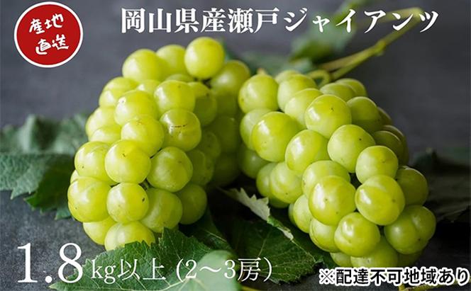 厳選 瀬戸ジャイアンツ 2～3房 合計1.8kg以上 産地直送 朝採れ ぶどう 葡萄 Kawahara Green Farm 岡山県産 2025年