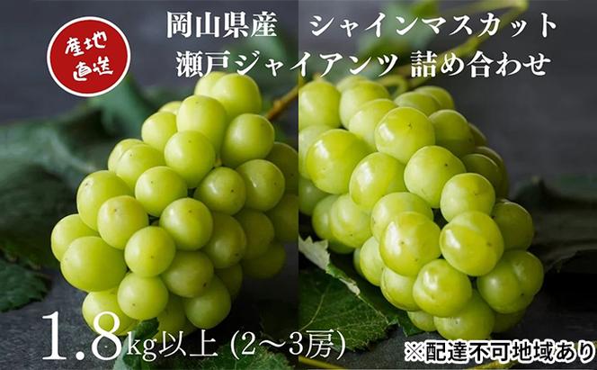 厳選 シャインマスカット・瀬戸ジャイアンツ 2～3房 合計1.8kg以上 詰合せ 産地直送 朝採れ ぶどう 葡萄 Kawahara Green Farm 岡山県産2025年