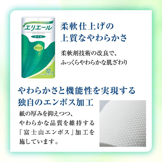 【2ヶ月連続お届け】エリエール [アソートB] トイレットペーパー ティッシュ トイレ ボックスティッシュ 日用品 消耗品