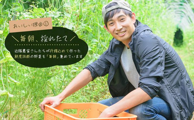 【定期便】淡路島の旬の野菜セット　３ヶ月コース（月１回×３回）　[野菜セット 定期便 野菜セット 定期便 野菜セット 定期便 野菜セット 定期便 野菜セット 定期便 野菜セット 定期便]