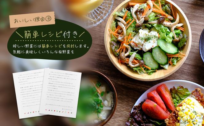 【定期便】淡路島の旬の野菜セット　３ヶ月コース（月１回×３回）　[野菜セット 定期便 野菜セット 定期便 野菜セット 定期便 野菜セット 定期便 野菜セット 定期便 野菜セット 定期便]