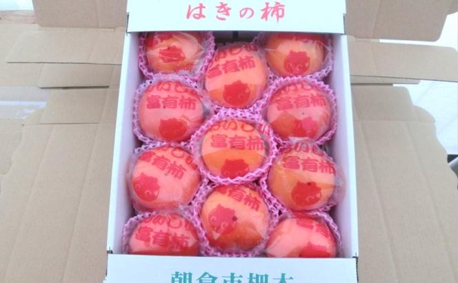 柿 冷蔵柿 11～12玉 ファームステーションバサロ