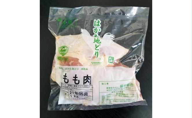 鶏肉 もも肉 約1kg はかた地どり