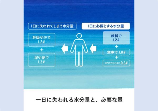 【定期便3ヵ月コース】アクエリアス 300gハンディーパック（30本入り）