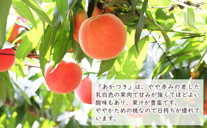 桃 2024年 先行予約 あかつき 約1.5kg（5～7玉）もも モモ 岡山県産 国産 フルーツ 果物 ギフト