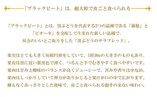 ぶどう 2025年 先行予約 ブラックビート 約700g×1房 ブドウ 葡萄  岡山県産 国産 フルーツ 果物 ギフト