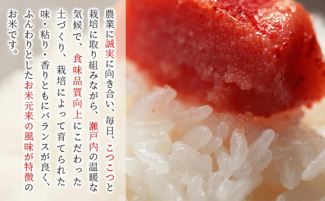 特別栽培米 ひのひかり 10kg×1袋 米 白米 岡山県産 ファーム安井