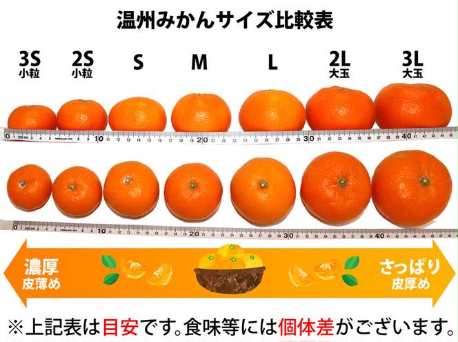 ZA95017_田村みかん 約5kg(Sサイズ)【紀州グルメ市場】