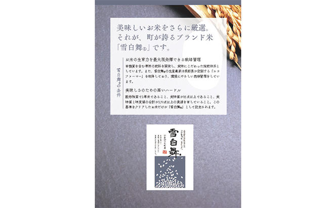 志賀高原の麓で育った 山ノ内町産コシヒカリ『雪白舞』5kg 米 お米 コシヒカリ こしひかり 5kg 5キロ 白米 精米 希少 ブランド米 産地直送 長野 長野県 山ノ内 長野県山ノ内町