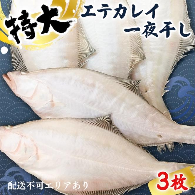 【ふるさと納税】特大エテカレイ 一夜干し 3枚 魚貝類 魚 地魚 一夜干し エテカレイ カレイ 大きめ 干物 ひもの セット 冷凍 個包装