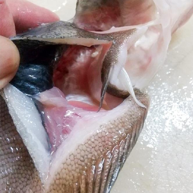 【ふるさと納税】特大エテカレイ 一夜干し 3枚 魚貝類 魚 地魚 一夜干し エテカレイ カレイ 大きめ 干物 ひもの セット 冷凍 個包装