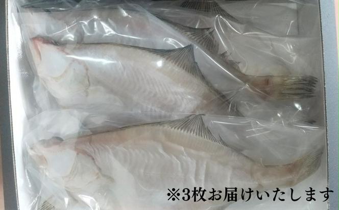 【ふるさと納税】特大エテカレイ 一夜干し 3枚 魚貝類 魚 地魚 一夜干し エテカレイ カレイ 大きめ 干物 ひもの セット 冷凍 個包装