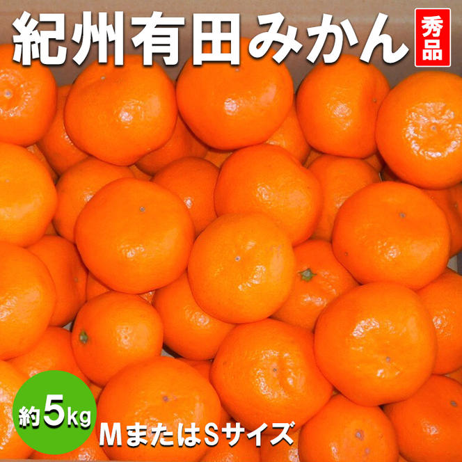 紀州有田みかん　秀品　約5kg　(МまたはSサイズ)
※離島への配送不可
※2024年11月中旬～2025年1月中旬頃に順次発送予定