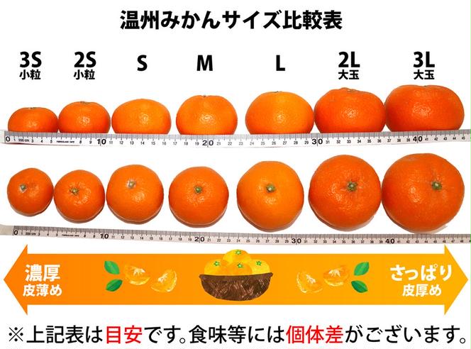 ZA94072_田村みかん 約10kg(Lサイズ)【紀州グルメ市場】