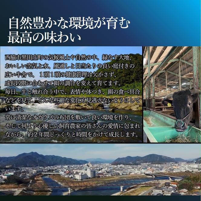 【数量限定】訳あり 黒田庄和牛《神戸ビーフ素牛》（小間切り落とし500g）250g×2パック 小分け