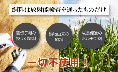 登別牛100％使用ハンバーグ 120g×5個