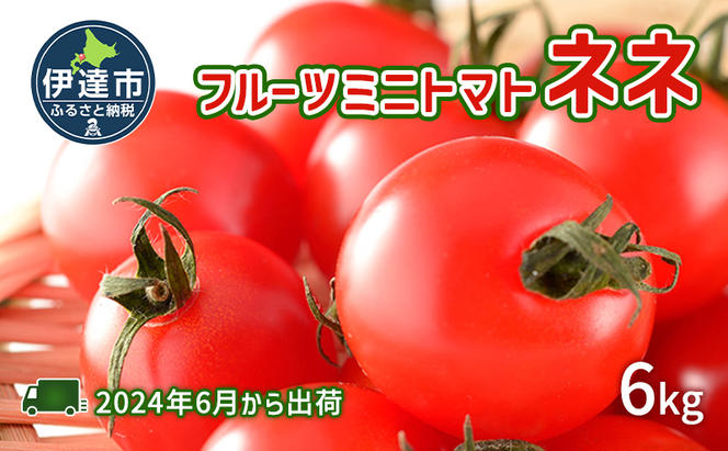 北海道 伊達 大滝農園 ミニトマト 幻の 高糖度 フルーツ ネネ 約6kg トマト フルーツトマト ジューシー 甘い 濃厚