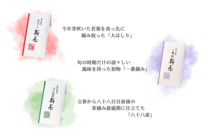 【2025年先行受付 宇治茶】京の新茶飲み比べセット(煎茶100g×３種)〈新茶 お茶 茶 緑茶 煎茶 茶葉 宇治茶 飲み比べ セット 飲料 日本茶 加工食品〉