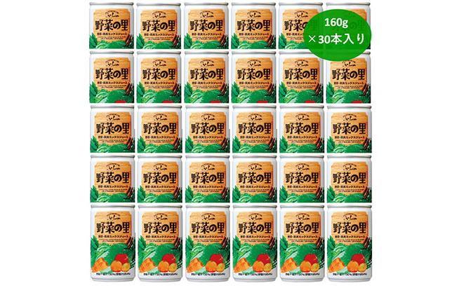 ふらの 野菜の里 160g×30本入　野菜 果物 ミックスジュース (ジュース 野菜ジュース 飲み物 缶 北海道 送料無料 道産 富良野市 ふらの)