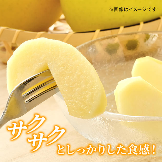 信州小諸産 シナノゴールド 秀品 約5kg 長野県産 果物類 林檎 りんご リンゴ