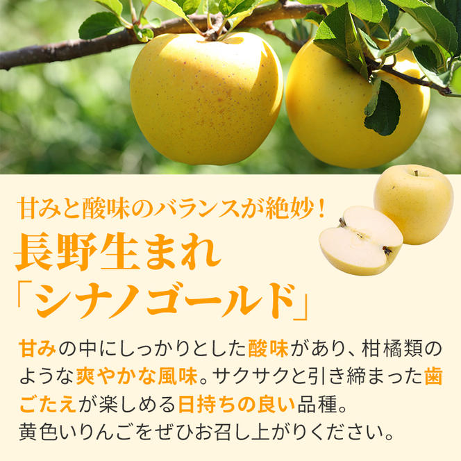 信州小諸産 シナノゴールド 秀品 約5kg 長野県産 果物類 林檎 りんご リンゴ