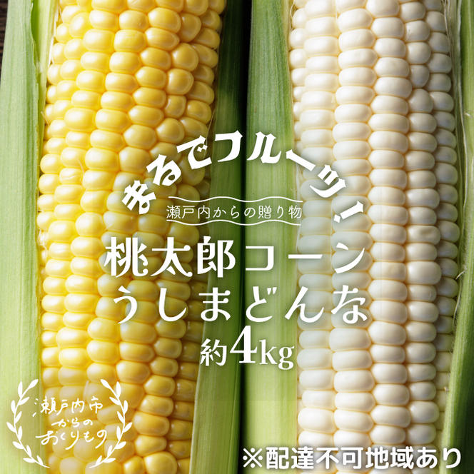 ［2025年先行予約］まるでフルーツ！生で甘い、茹でて美味い！牛窓産 とうもろこし「桃太郎コーン」と「うしまどんな」のセット 約4kg 8～12本入り