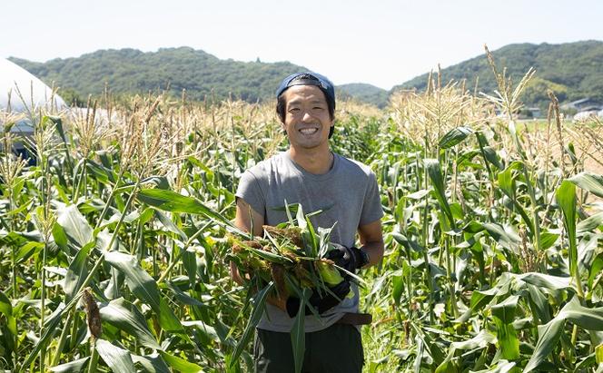 ［2025年先行予約］まるでフルーツ！生で甘い、茹でて美味い！牛窓産 とうもろこし「桃太郎コーン」と「うしまどんな」のセット 約4kg 8～12本入り