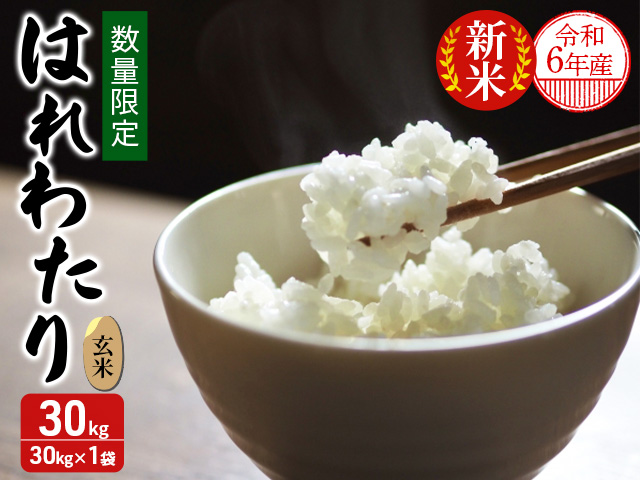 数量限定 新米 令和6年産 はれわたり 玄米 30kg 令和4年産米の食味ランキング特A取得 米 こめ お米 おこめ コメ ご飯 ごはん 特A 特A米 令和6年 限定 H.GREENWORK 青森 青森県