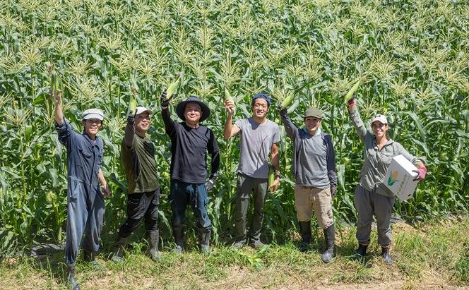 ［2025年先行予約］まるでフルーツ！生で甘い、茹でて美味い！牛窓産 とうもろこし「桃太郎コーン」と「うしまどんな」のセット 約4kg 8～12本入り