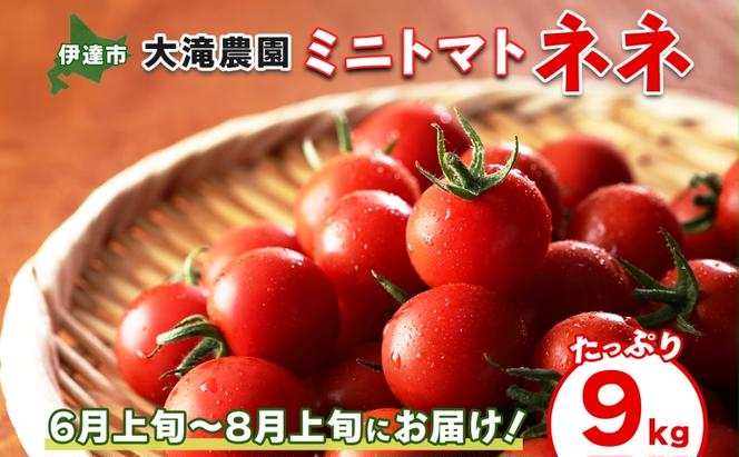 北海道 伊達 大滝農園 ミニトマト 幻の 高糖度 フルーツ ネネ 約9kg トマト フルーツトマト ジューシー 甘い 濃厚