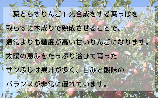 【糖度保証】ヒバリノ園の【紅虎】あどはだり葉とらずサンふじ 約5kg（14～18玉）青森県鰺ヶ沢町産りんご※オンライン決済のみ