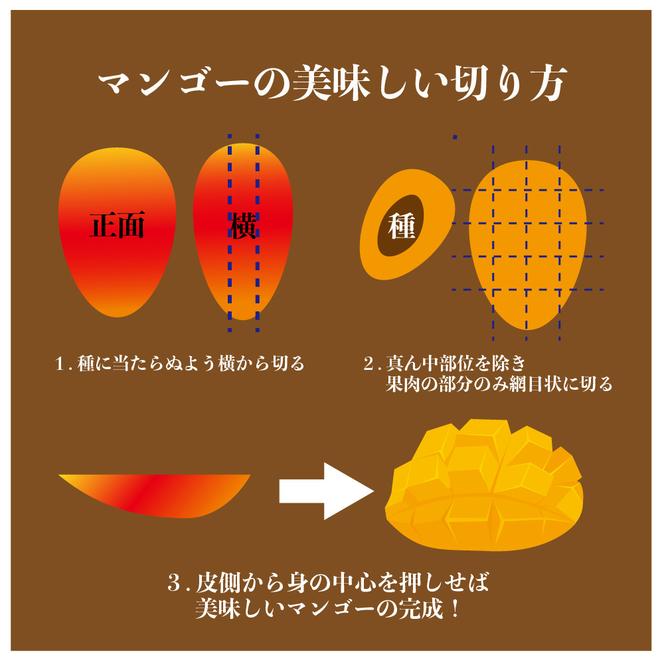 高品質マンゴー 秀品　約1.5kg（2～5玉）