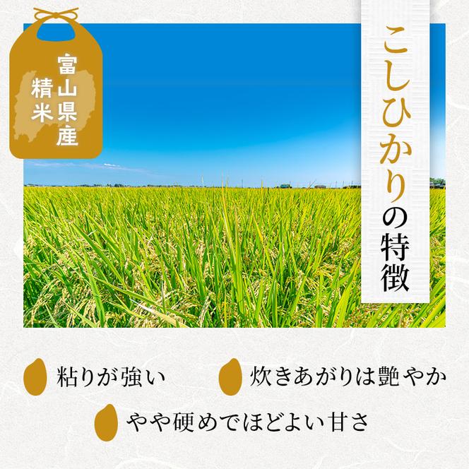 射水産 こしひかり 2合 9個入り セット 詰め合わせ ギフト 米 お米 こめ コメ おこめ 白米