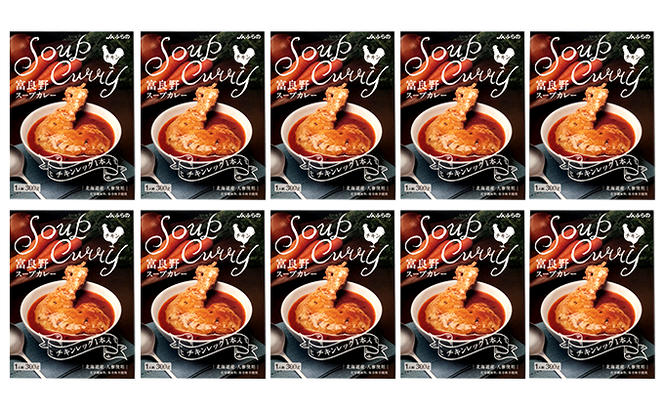 富良野 スープカレー チキン 10食セット ( 肉 お肉 おかず 加工品 調理不要 簡単 北海道 送料無料 道産 富良野市 ふらの)