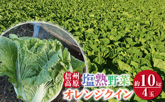 信州高原塩熟野菜（オレンジクイン）約10kg 4玉