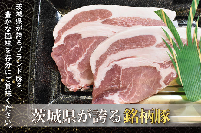 【 ギフト用 】【常陸牛・ローズポーク焼肉セット(7～9人前)】 常陸牛 カルビ 約780g ローズポーク 約600g (ロース300g ばら300g) ( 茨城県共通返礼品 ) ブランド牛 茨城 国産 黒毛和牛 霜降り 牛肉 ブランド豚 豚肉 冷凍 内祝い 誕生日 お中元 贈り物 お祝い 焼肉