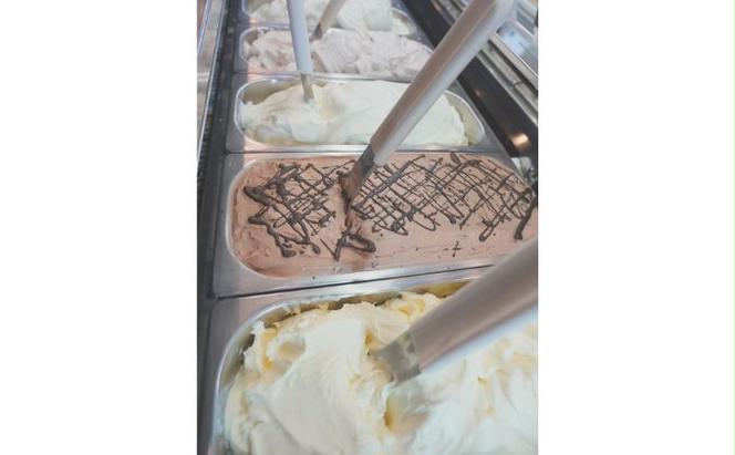 湘南茅ヶ崎の人気店 プレンティーズのアイスクリーム（バラエティセット10個）